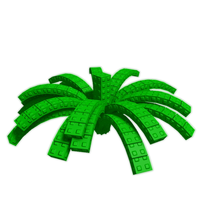 Pineapple Plant