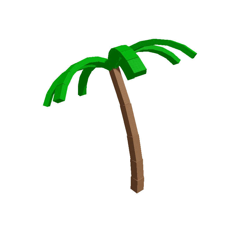 Coconut Plant