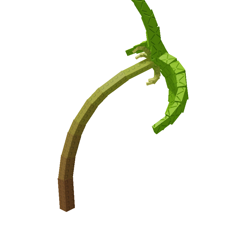 Banana Plant