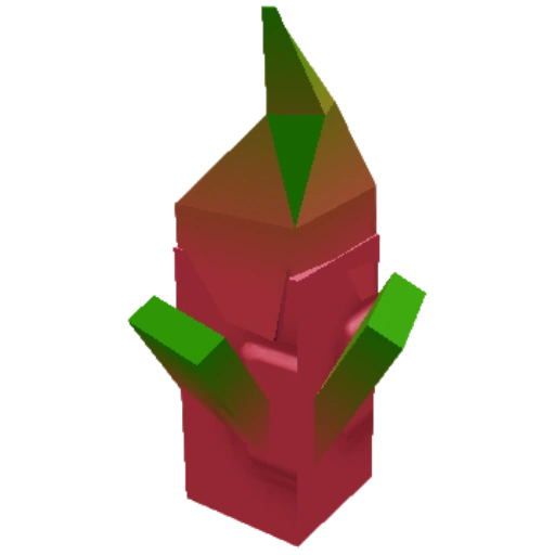 Dragon Fruit Seed